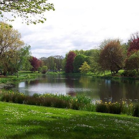 Paradise Oasis Near Lake *Full Body Massage Chair* Longview Eksteriør bilde
